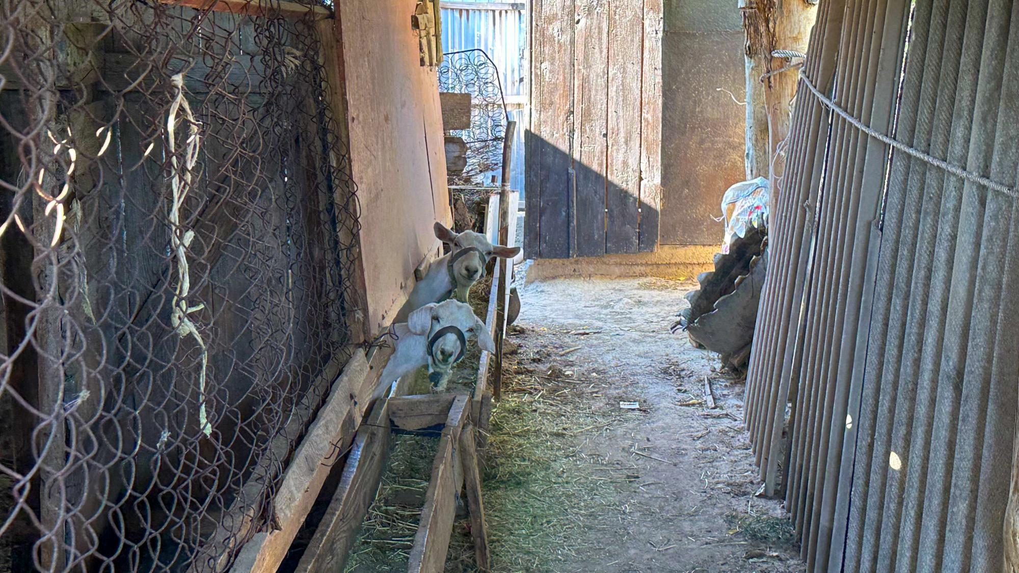 6-комнантный квартира, 111.0 м²,Жетыкол за 25 000 000