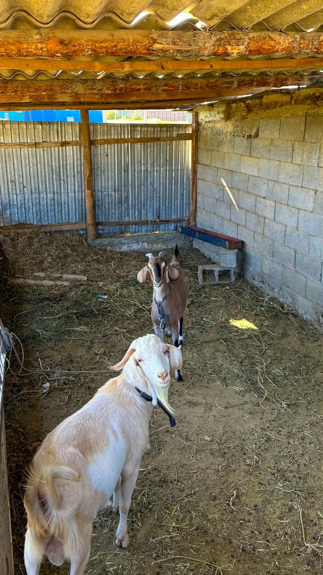 6-комнантный квартира, 111.0 м²,Жетыкол за 25 000 000