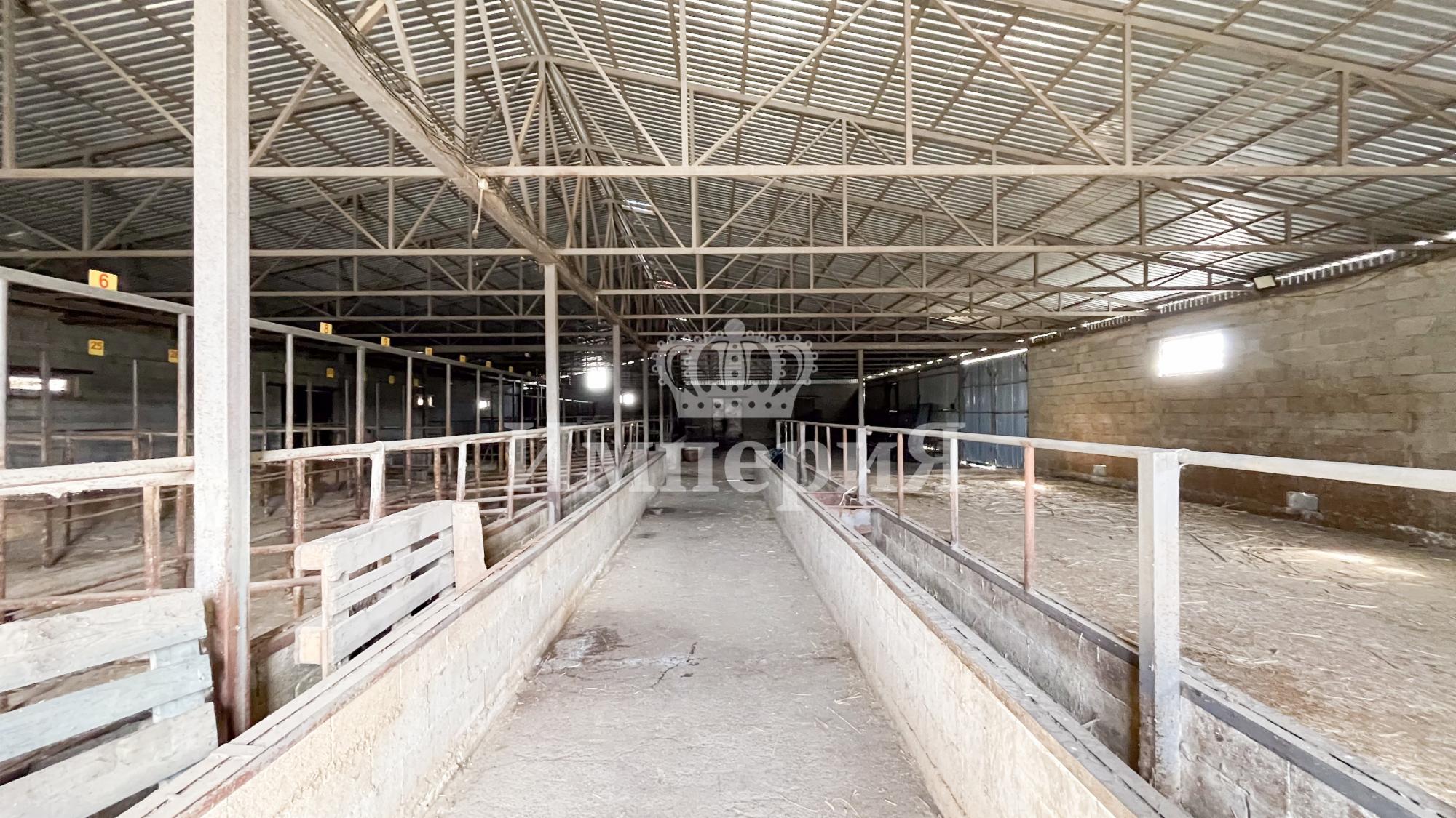 10-комнантный квартира, 750.0 м²,Ярославского за 80 000 000