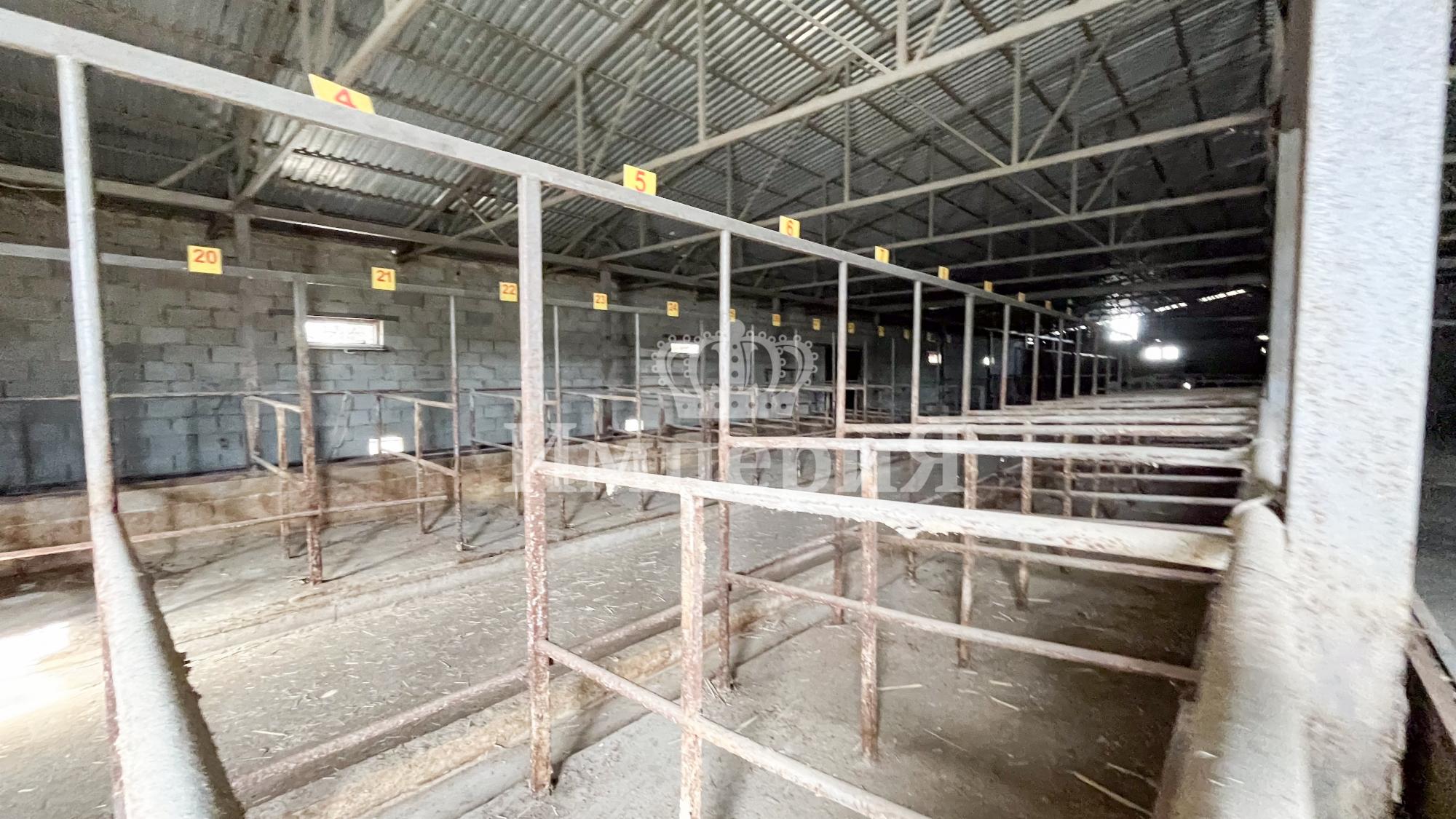 10-комнантный квартира, 750.0 м²,Ярославского за 80 000 000