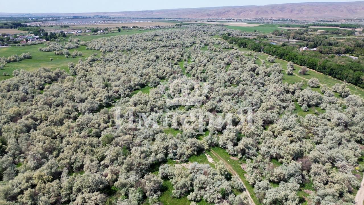 5-комнантный квартира, 157.0 м²,Арасан за 63 000 000