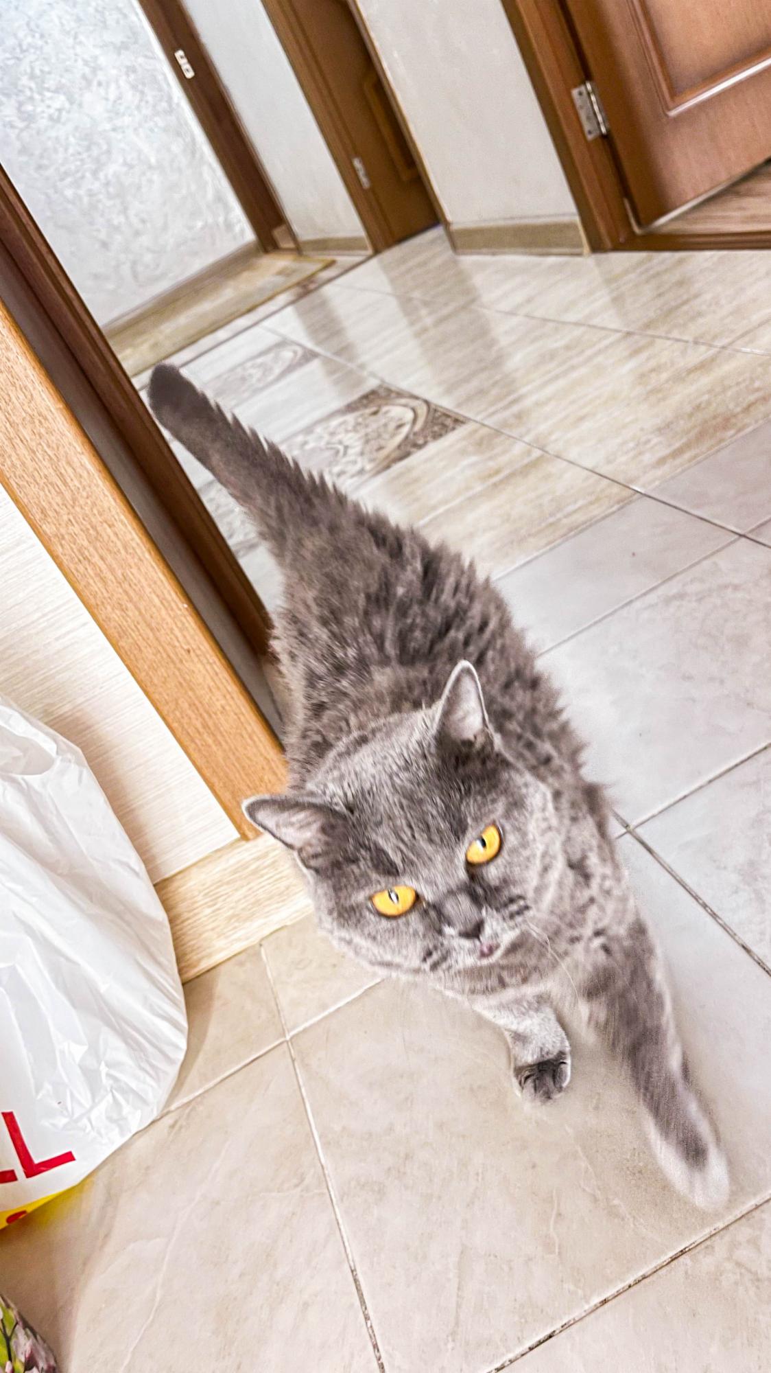 3-комнантная квартира, 126.0 м²,Биржан Сал за 55 000 000