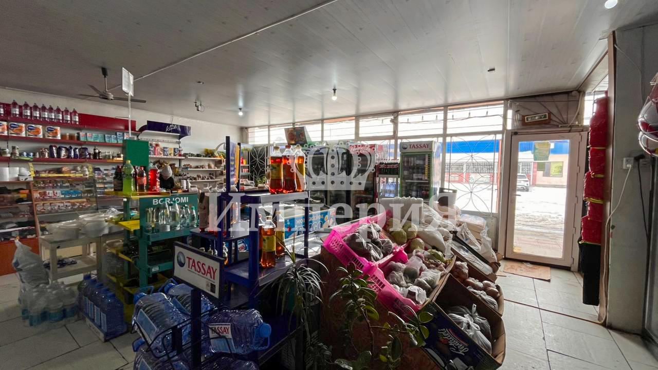 6-комнантный квартира, 300.0 м²,Курчатово за 65 000 000